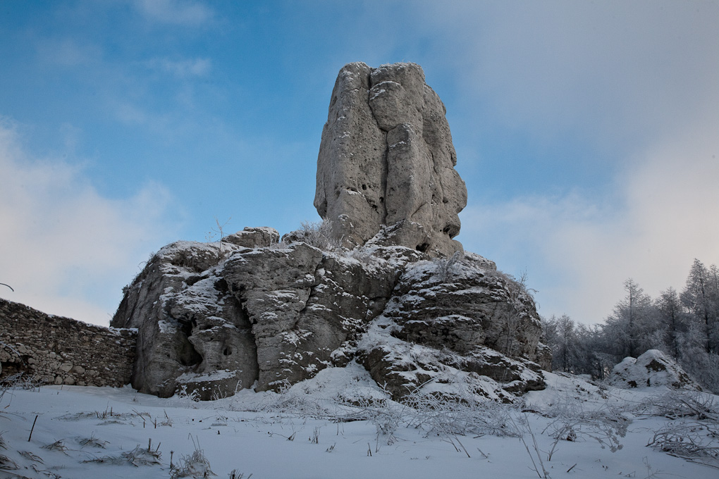 Ogrodzieniec